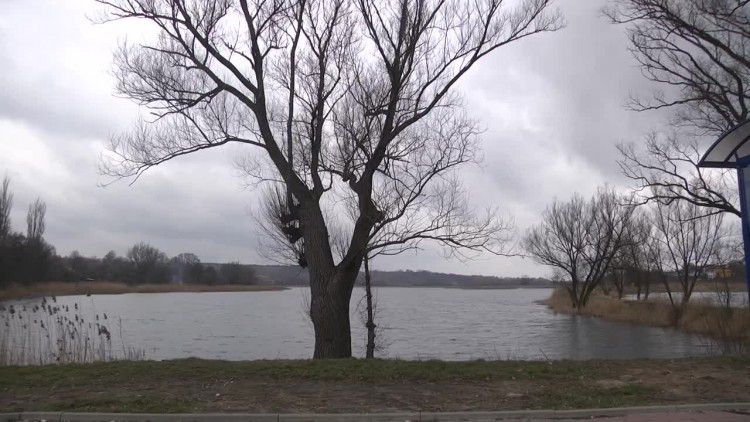 2016-03-23pasternik.mp4