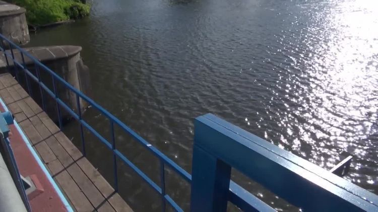 2016-05-16pasternik.mp4