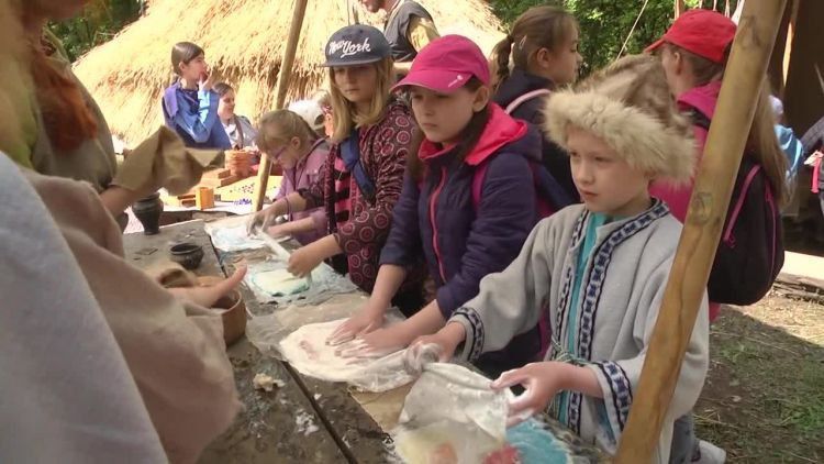 2016-05-20korzenie.mp4