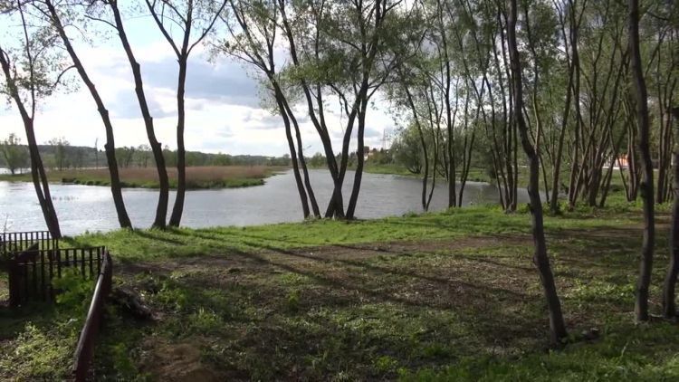 2016-05-27pasternik.mp4