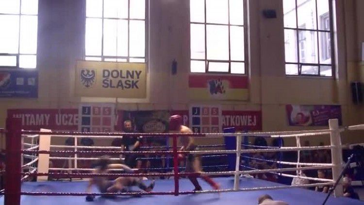 2016-06-16dragon.mp4