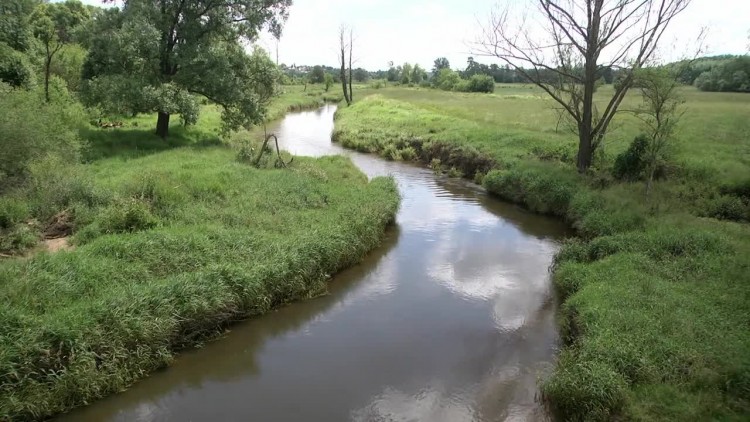 zabytki_i_obiekty_sakralne_powiatu_starachowickiego_hd.mp4