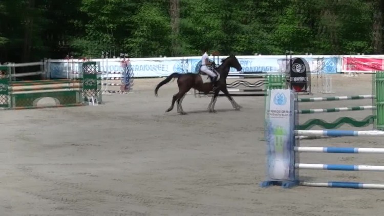 2016-08-09zawody.mp4