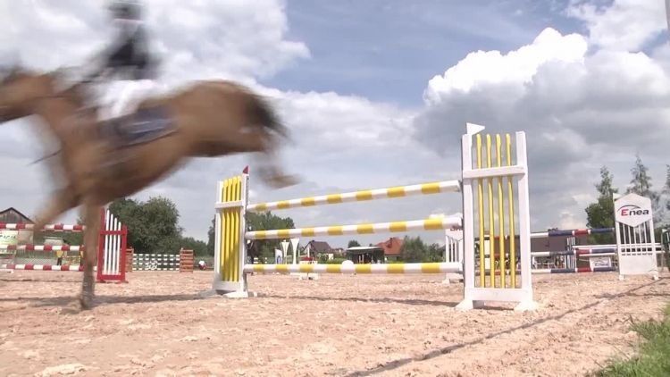 2016-08-17konie.mp4