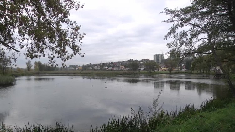 2016-10-11pasternik.mp4