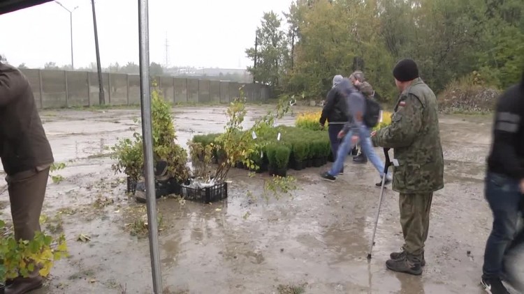 2016-10-24drzewo.mp4