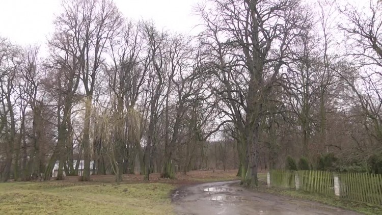 2016-10-18pawlow.mp4