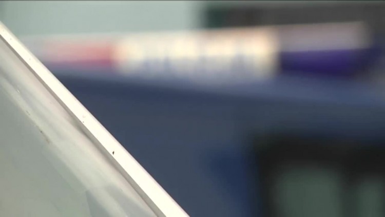 2017-02-03policja.mp4