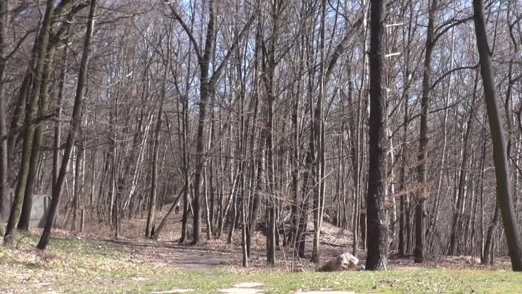 2017-03-30parkmiejski.mp4