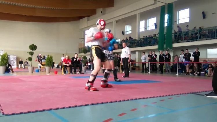 2017-03-31dragon.mp4