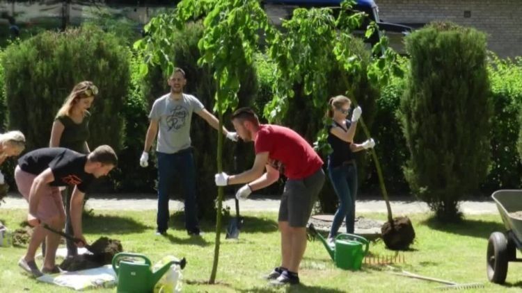 2017-06-06ogrodok.mp4