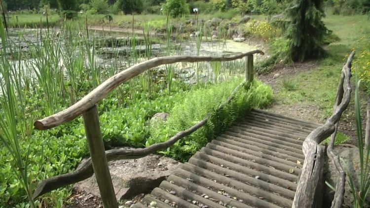 2017-07-07arboretum.mp4