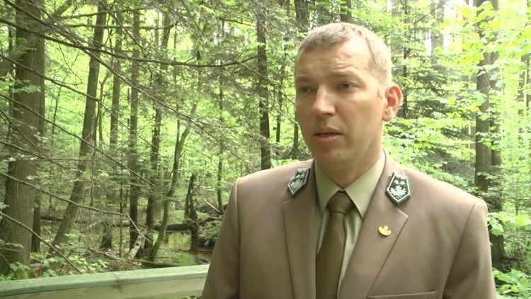 2017-07-14rosochacz.mp4