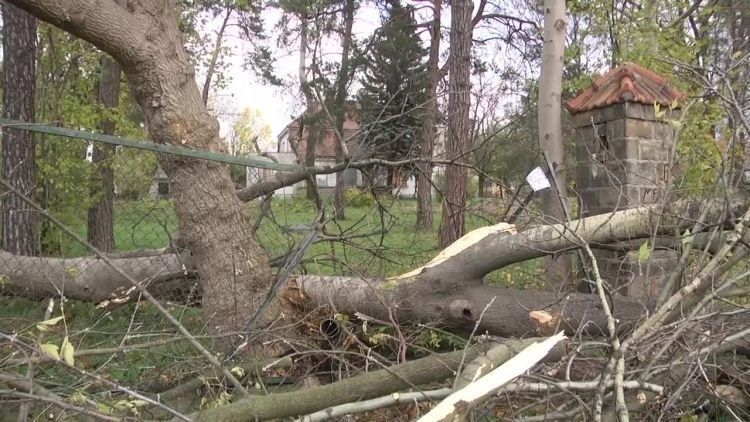 2017-10-30wichura.mp4