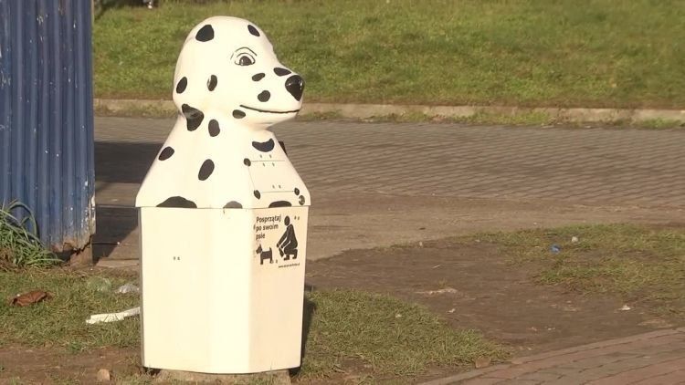 2018-01-11dalmatynczyki.mp4