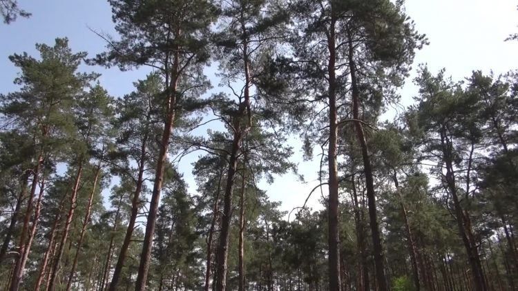 2018-05-02manewry.mp4