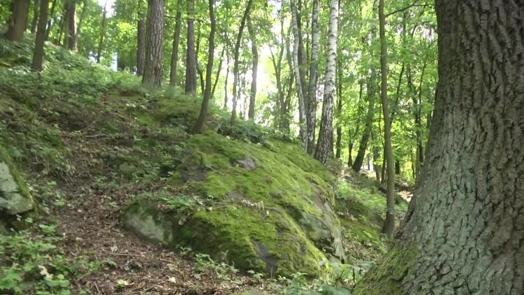 2018-07-31parkok.mp4