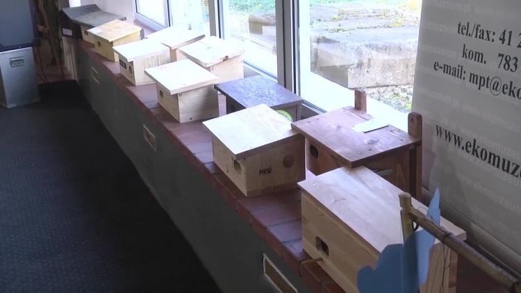 2018-10-22jerzyki.mp4