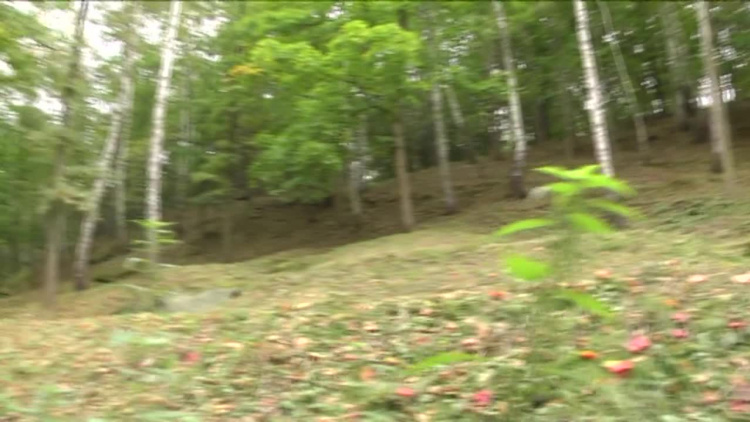 2018-12-20park_6z91kxon44gz_.mp4