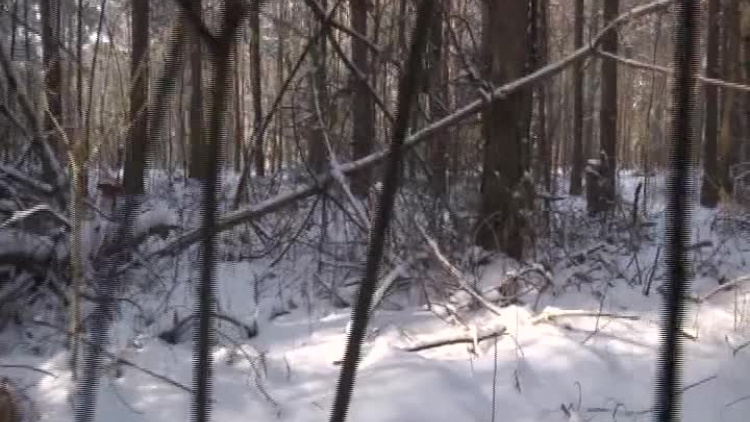 fakty2019-01-11_6z91kxon44gz_.mp4