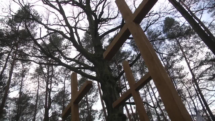 2019-01-18dabrebajly_6z91kxon44gz_.mp4