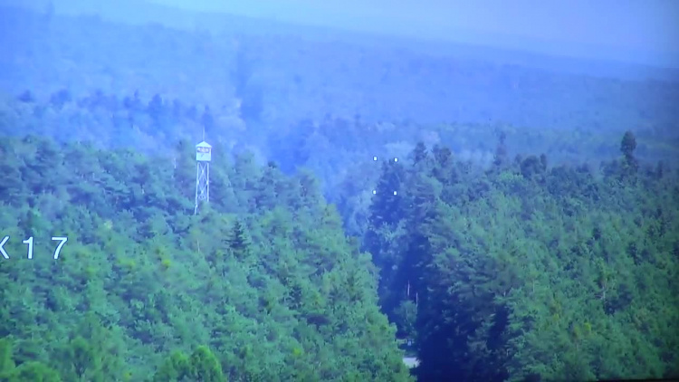 2019-08-28nadlesnictwo.mp4