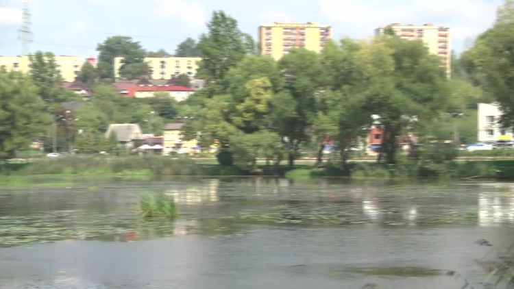 2019-09-02pasternik1.mp4