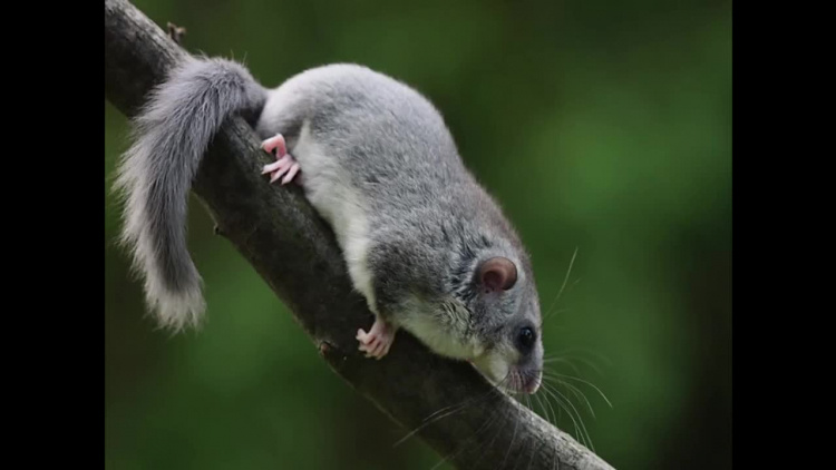 2019-10-18muzeum.mp4