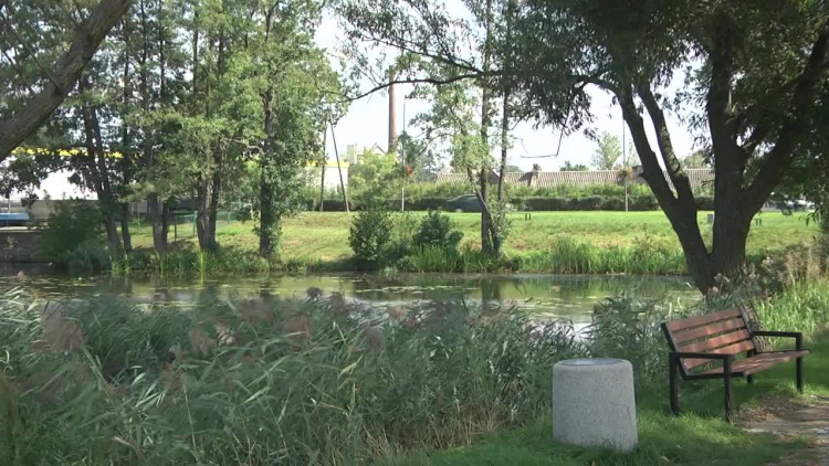 2019-11-12pasternik.mp4