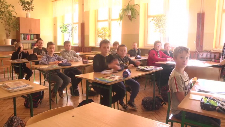 2020-01-22koalaok.mp4