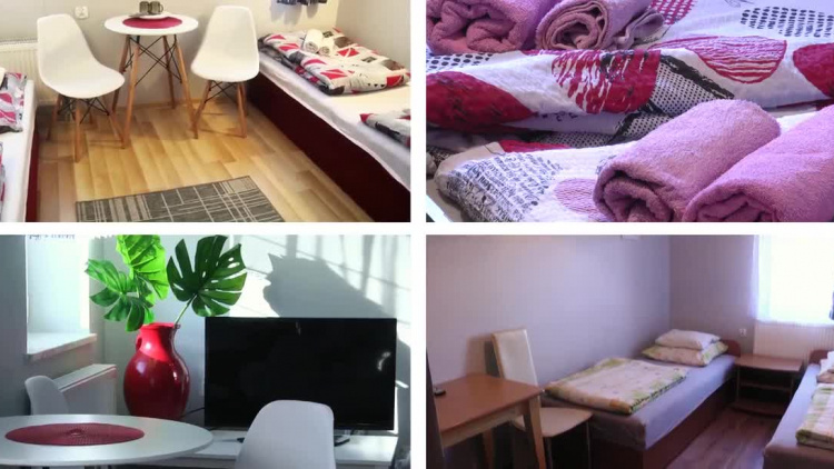 stajnia_pod_debem_2020_ok.mp4