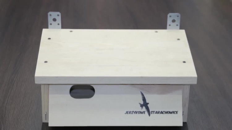 2020-05-01jerzyki.mp4