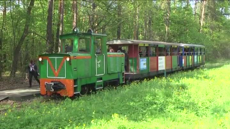 2020-06-22waskotorowka.mp4