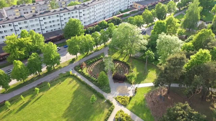 2020-06-26kwiaty.mp4