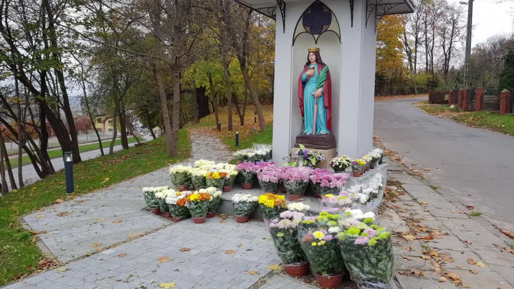 2020-11-02chryzantemy.mp4