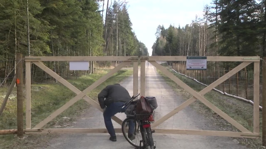 2021-01-13tdziki.mp4