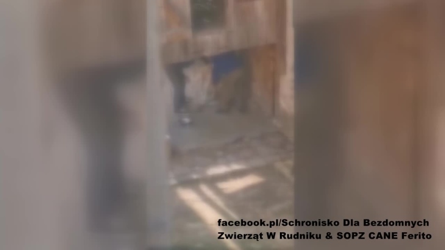 2021-05-25rudnik.mp4