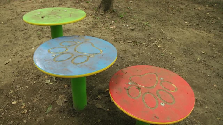 2021-07-23dog-park.mp4