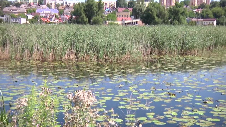 2021-08-06pasternik.mp4