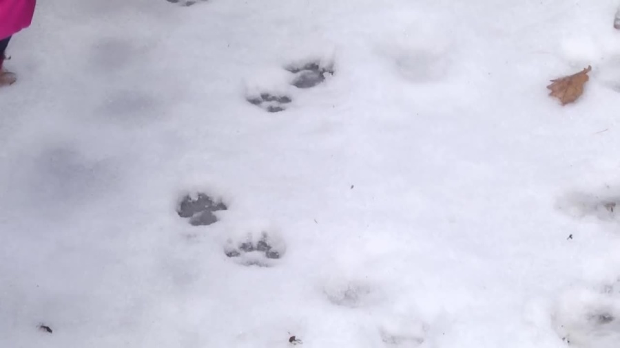 2022-01-28spacer.mp4