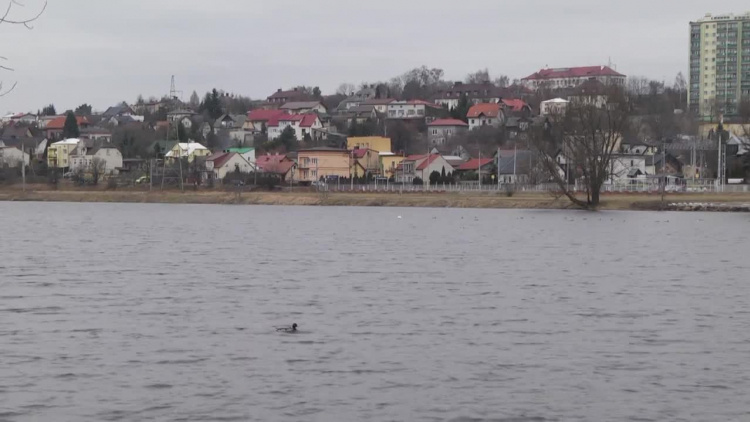 2022-03-14pasternik.mp4