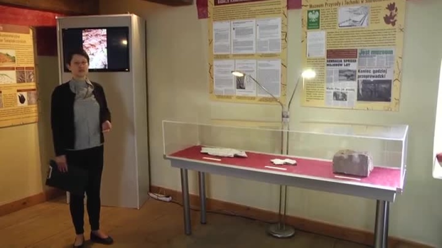 2022-04-29wystawa.mp4