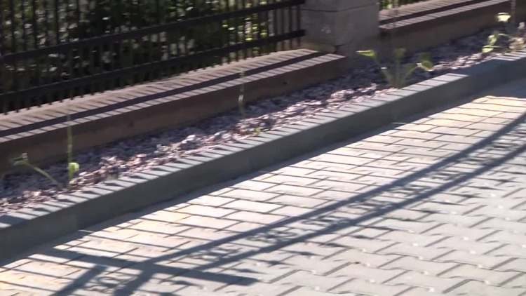 2022-08-05smugowa.mp4