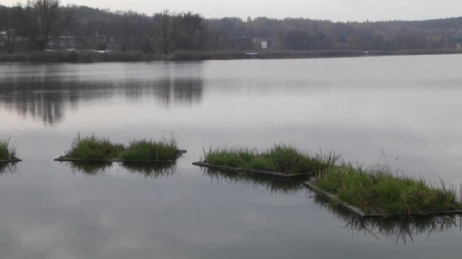 2022-11-09pasternik.mp4