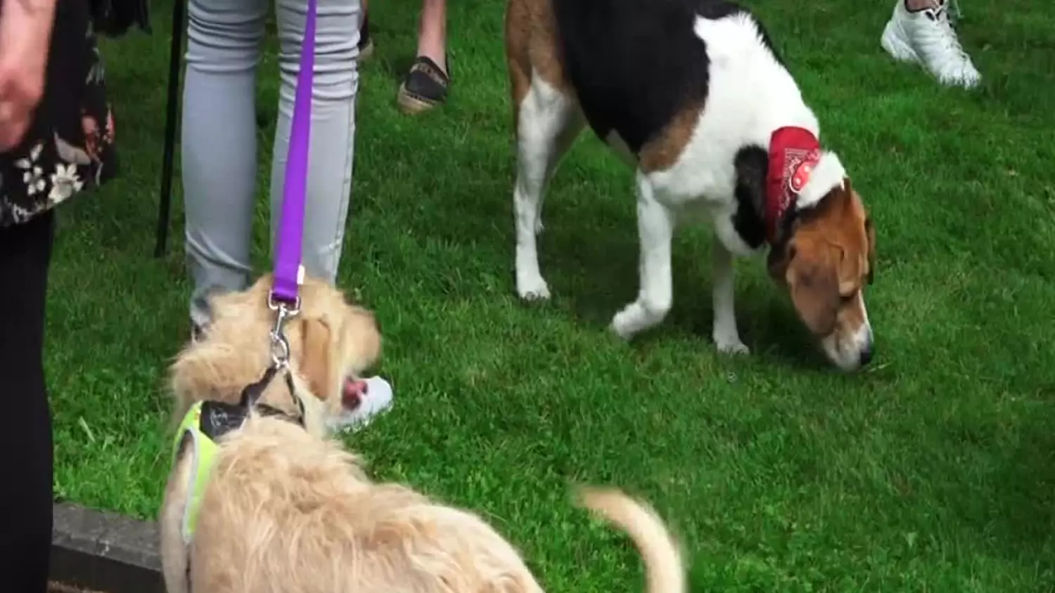 fakty-2023-06-14.mp4