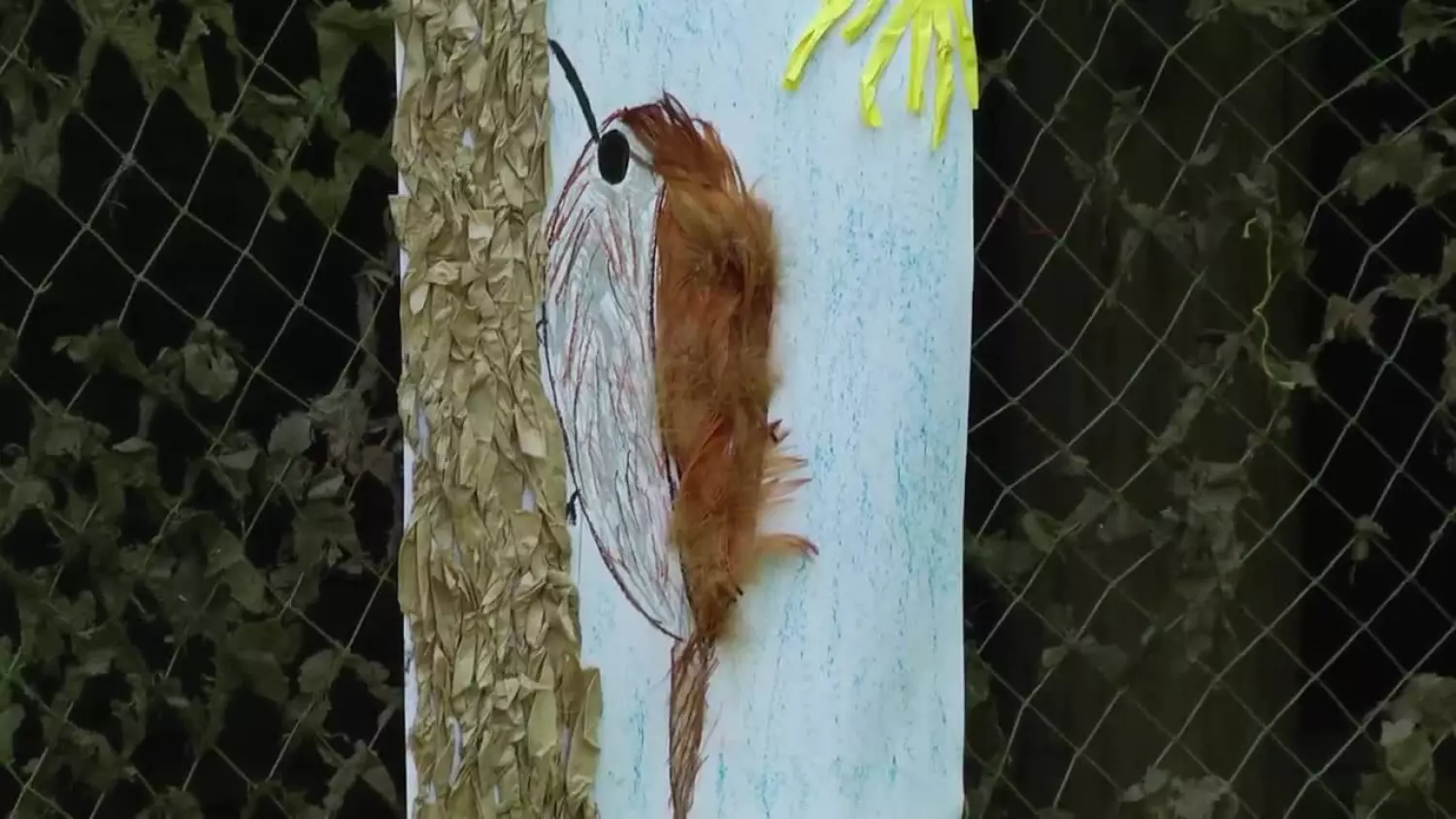 2023-06-28-piknik-muzeum.mp4