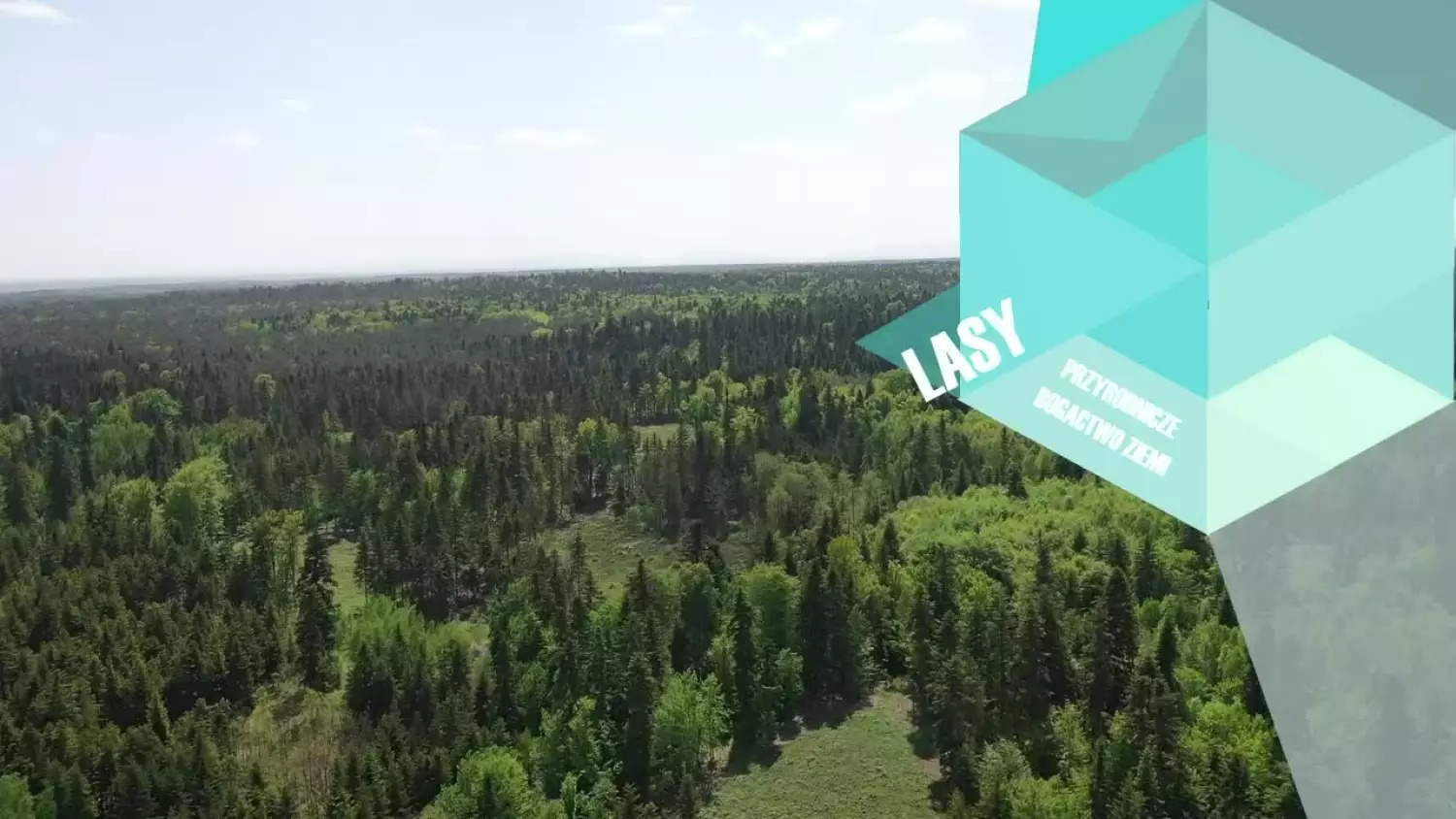 lasy-przyrodnicze-bogactwo-ziemi.mp4