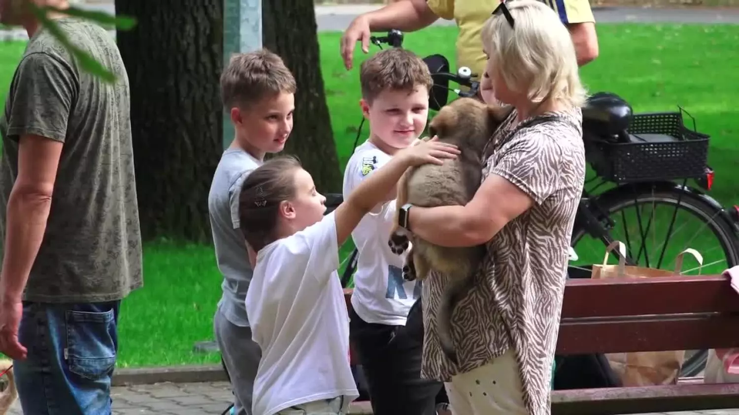 2023-07-14-psi-kalendarz.mp4