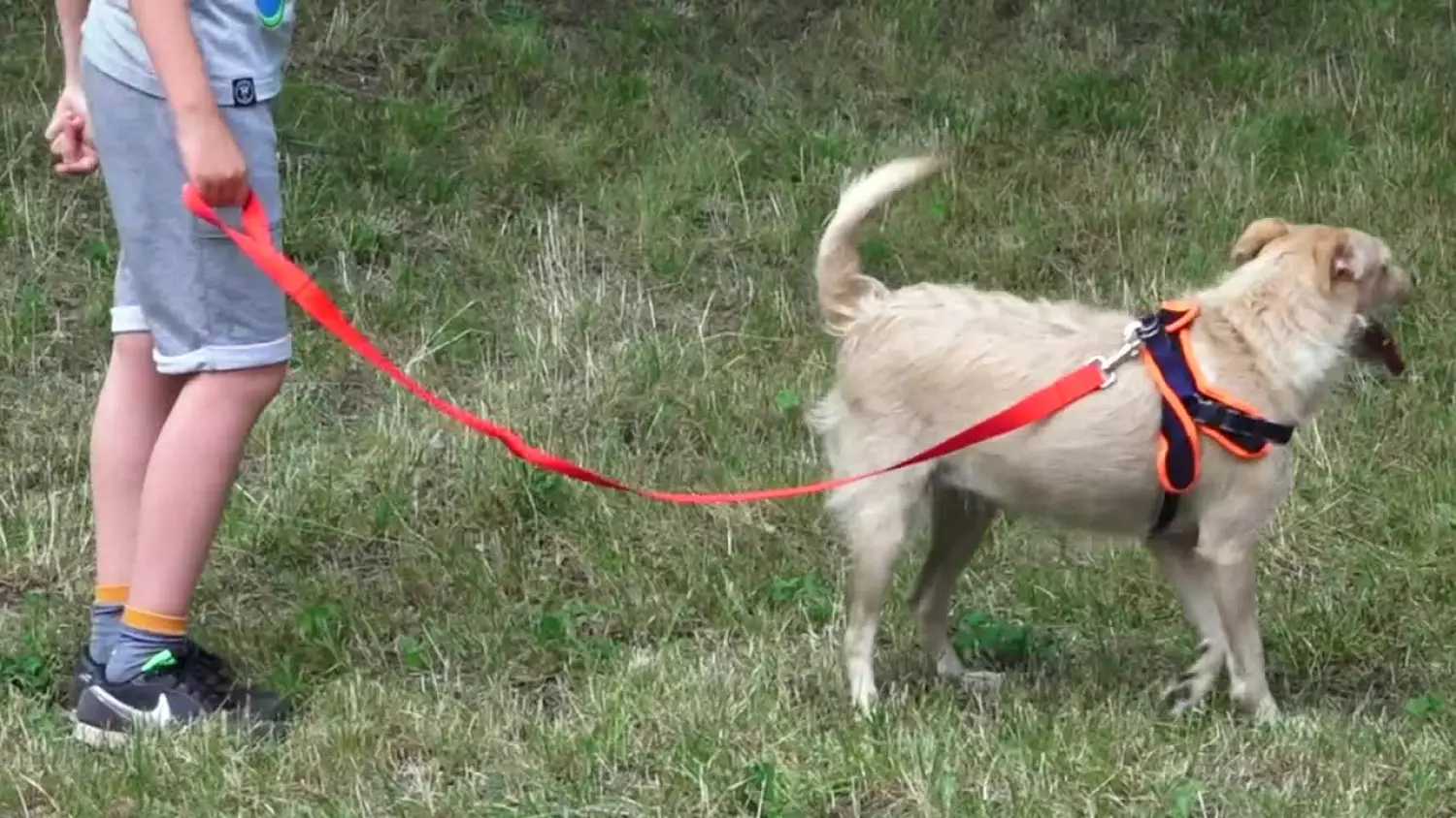 2023-07-21-psy-upaly.mp4