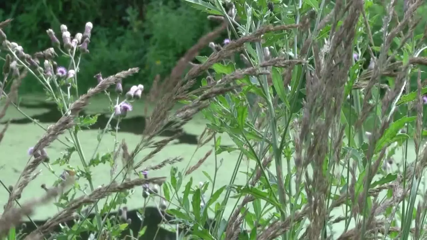 2023-08-09-szeptucha.mp4